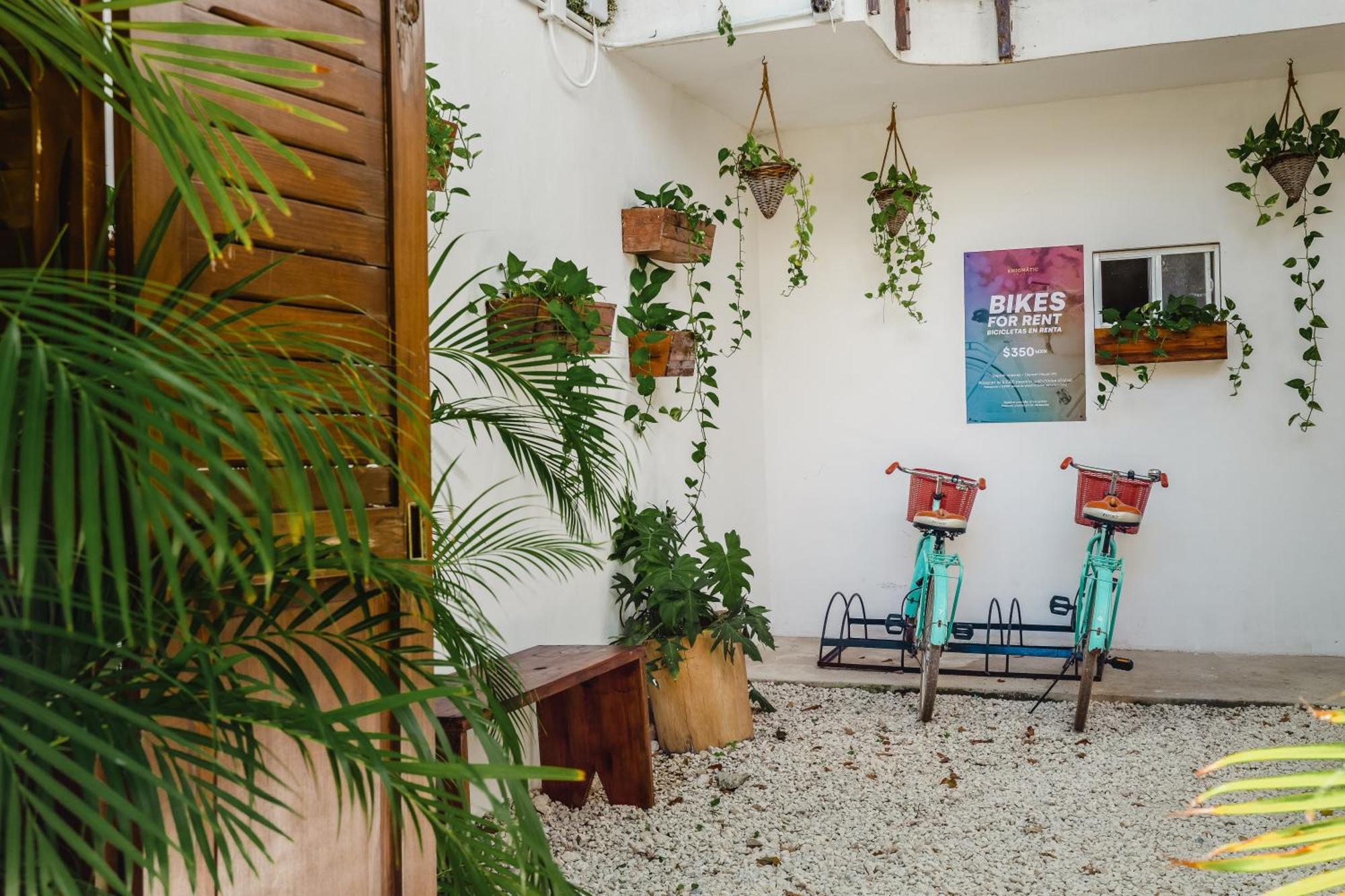 Enigmatic Hotel Experience Cancun Bagian luar foto